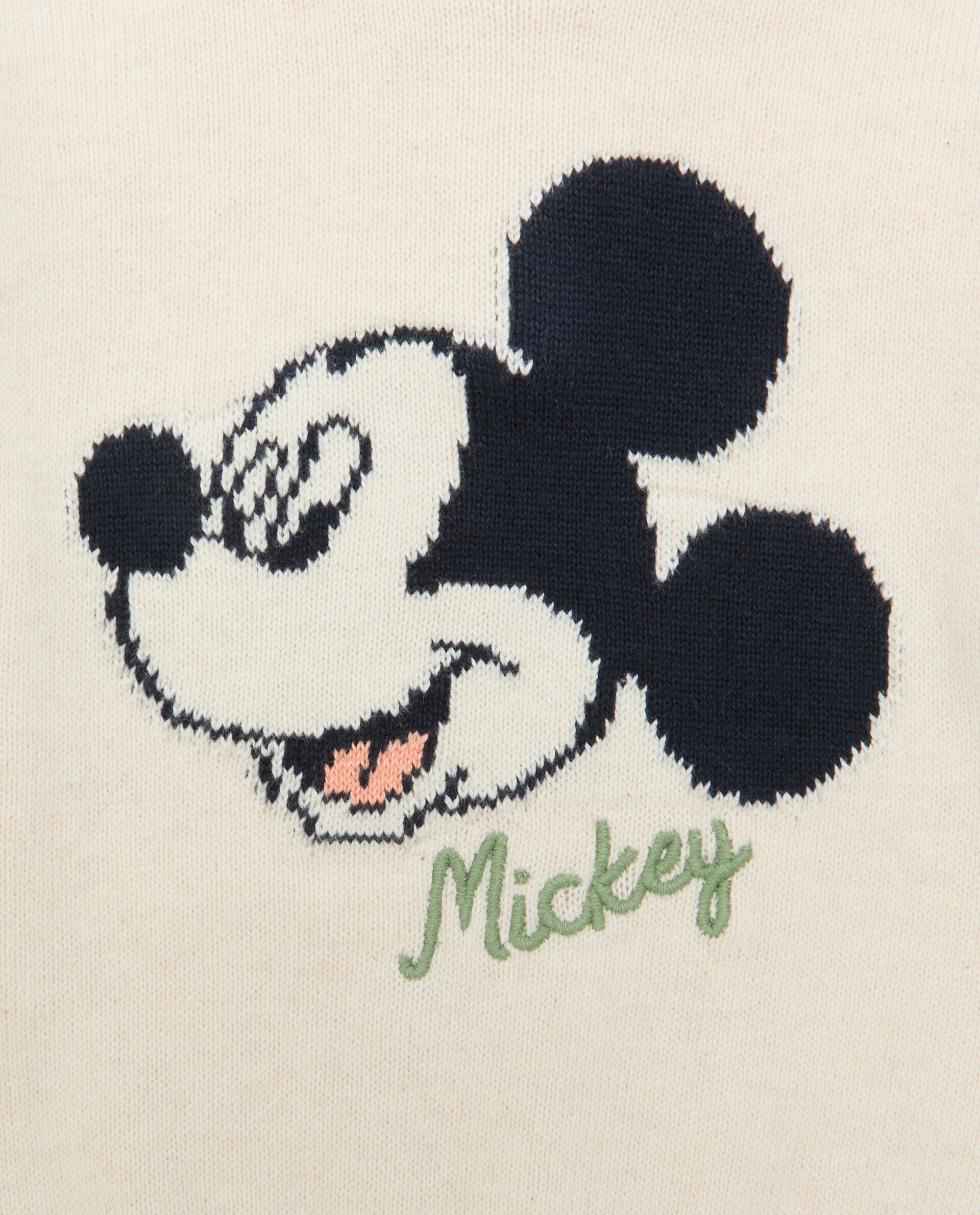 Maglione con ricamo Mickey Mouse in puro cotone neonato
