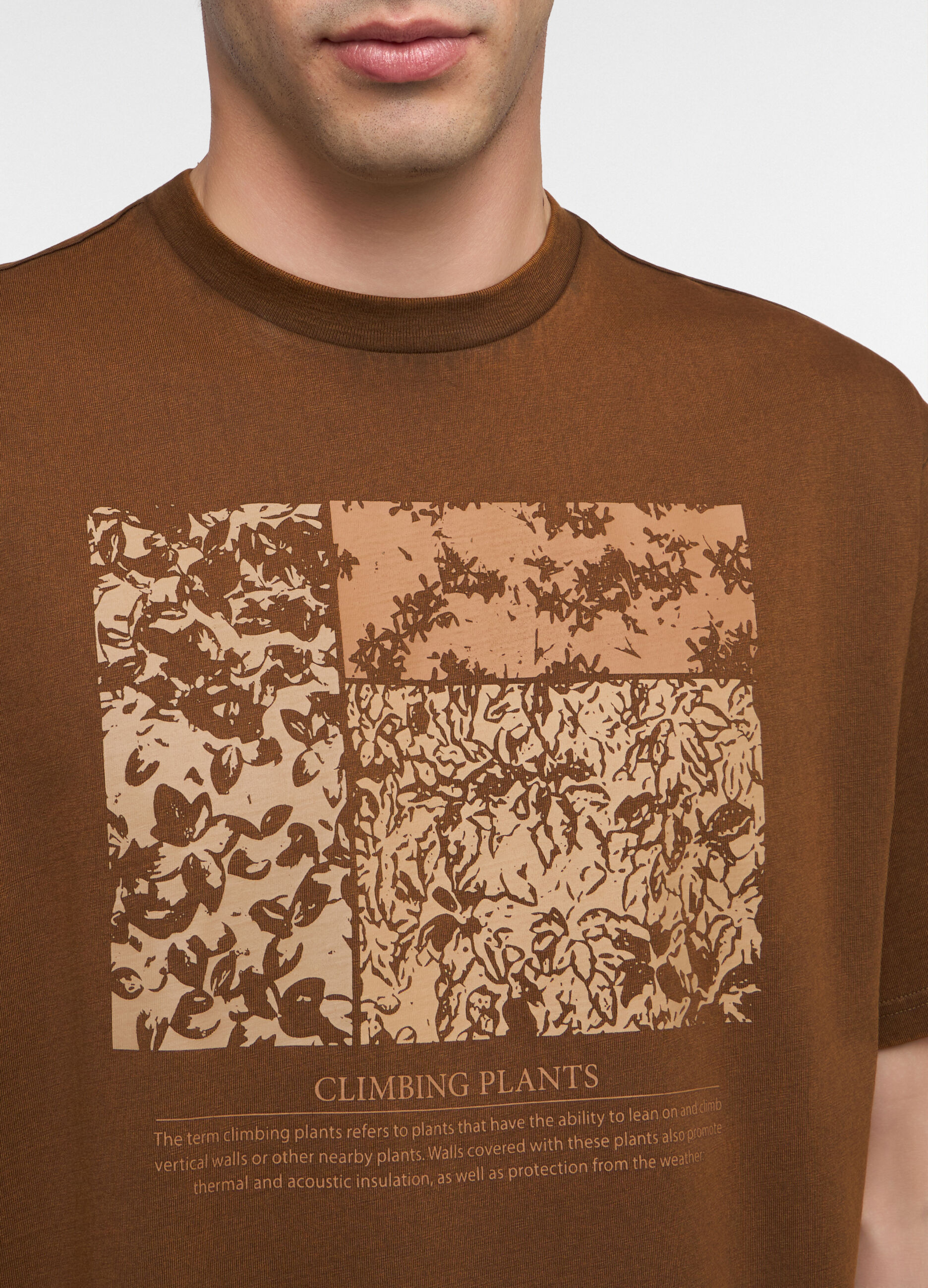 T-shirt girocollo stampa zagara uomo_2