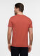 T-shirt in cotone fiammato uomo_1
