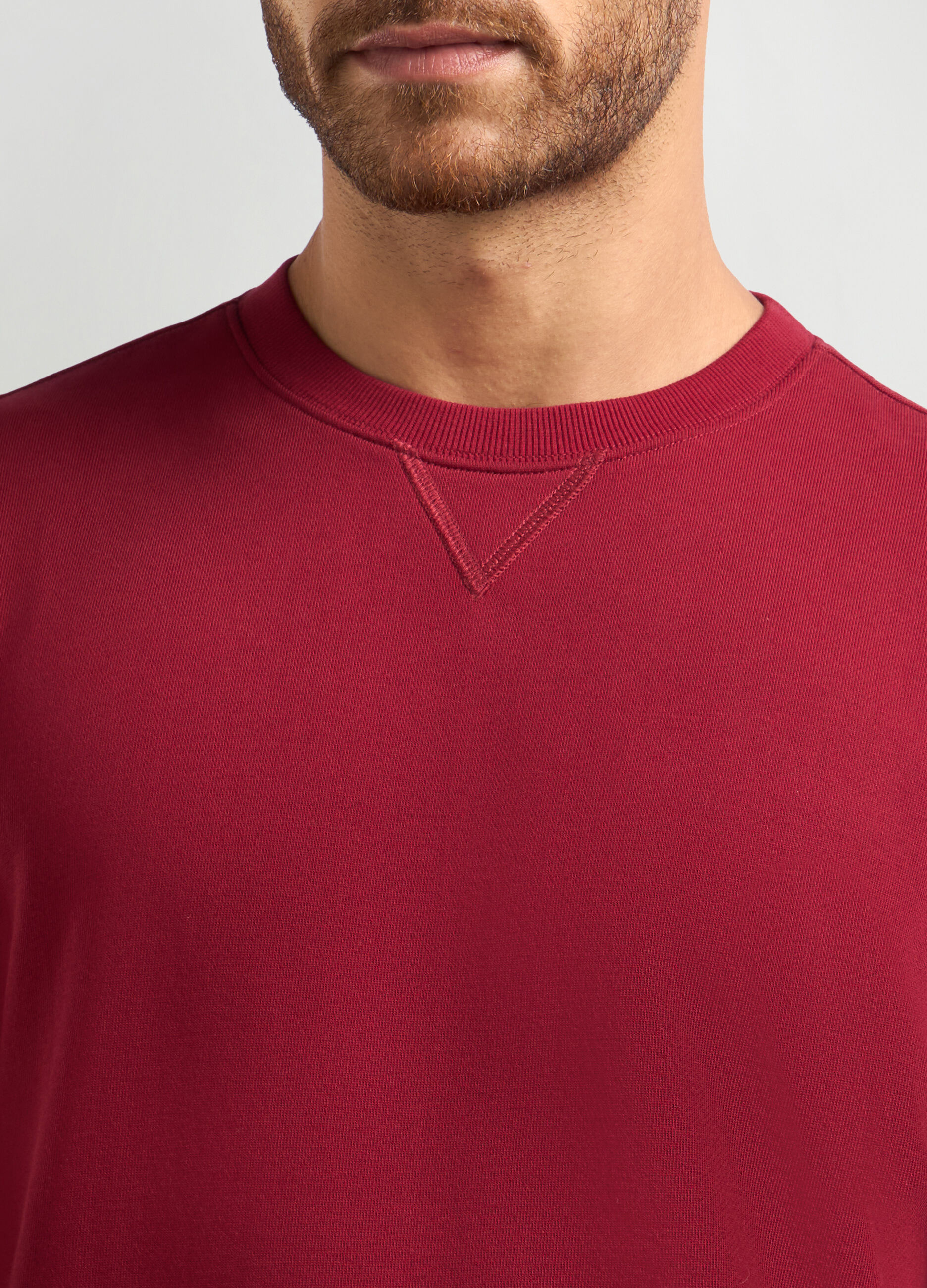Felpa girocollo in puro cotone uomo_2