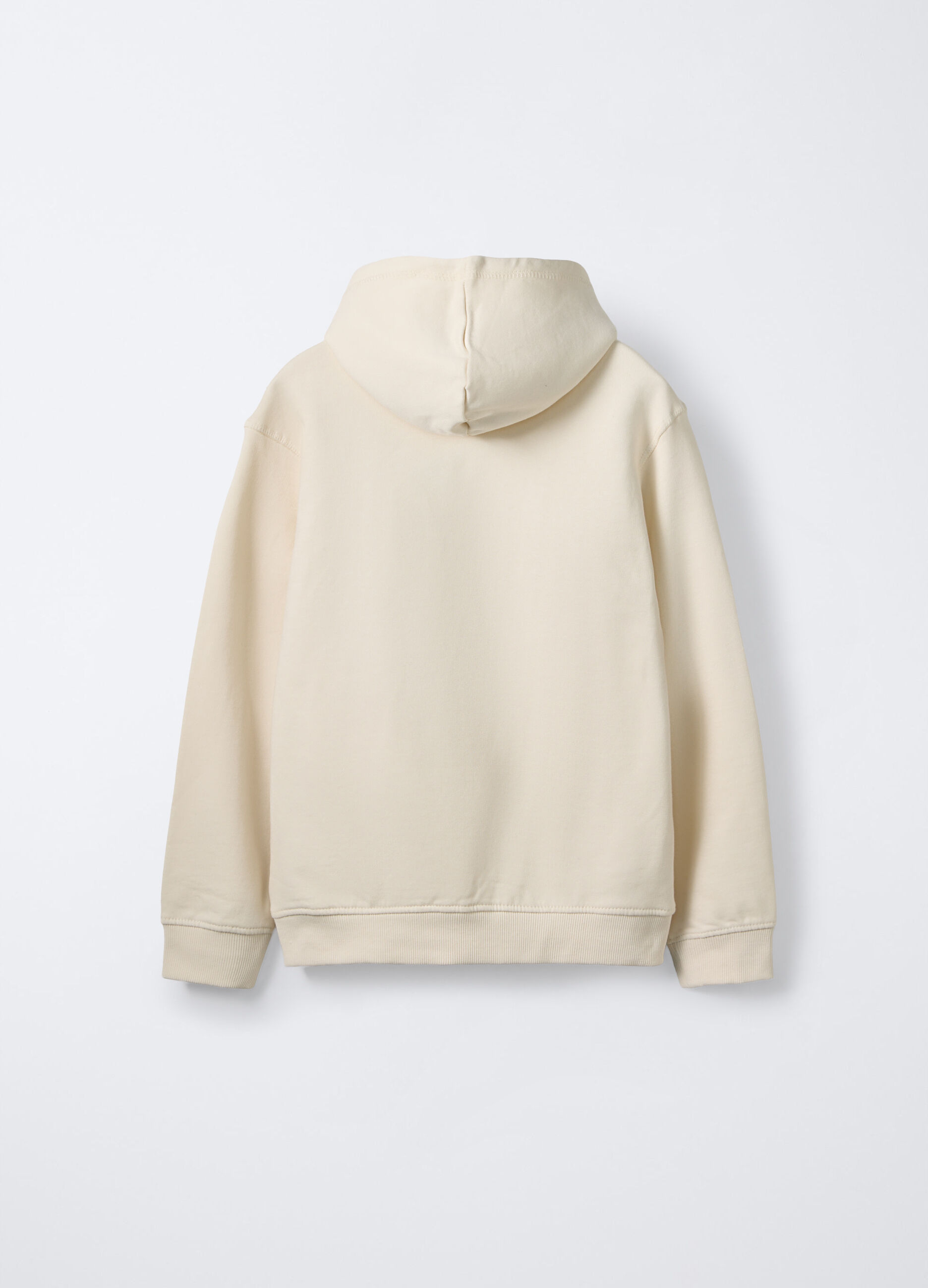 Felpa con cappuccio in puro cotone regular fit ragazzo_1