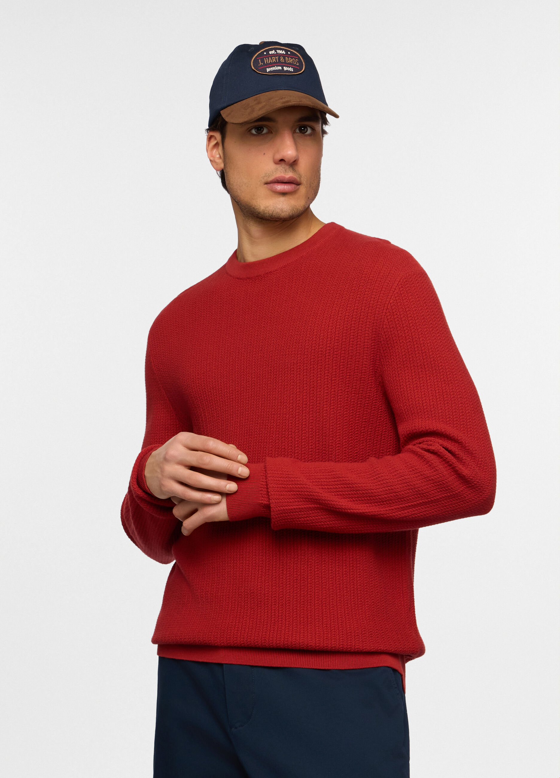 Maglione girocollo in cotone uomo_0