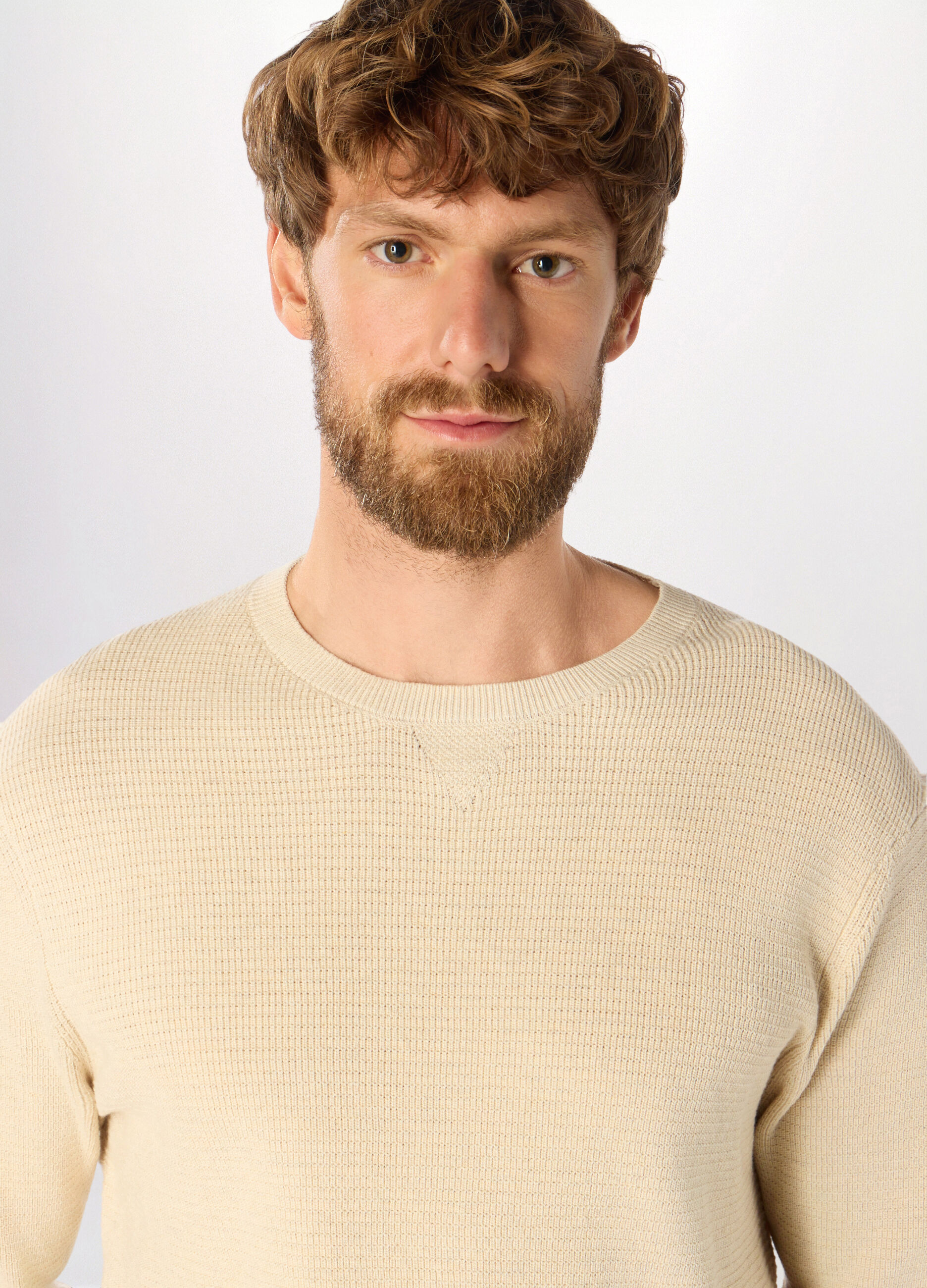 Maglione girocollo in cotone uomo_2