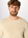 Maglione girocollo in cotone uomo_2