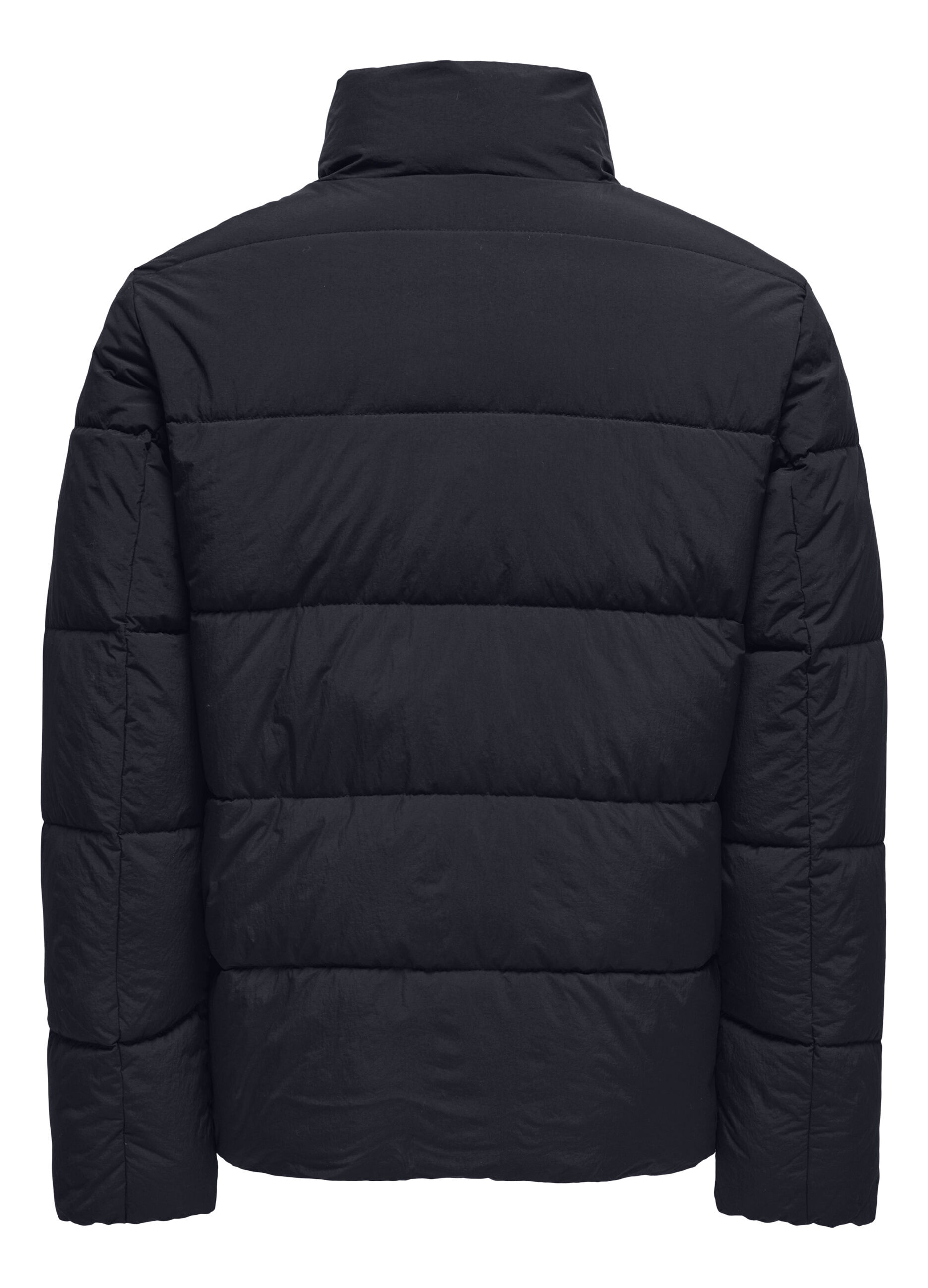 Giubbino imbottito a collo alto uomo_1