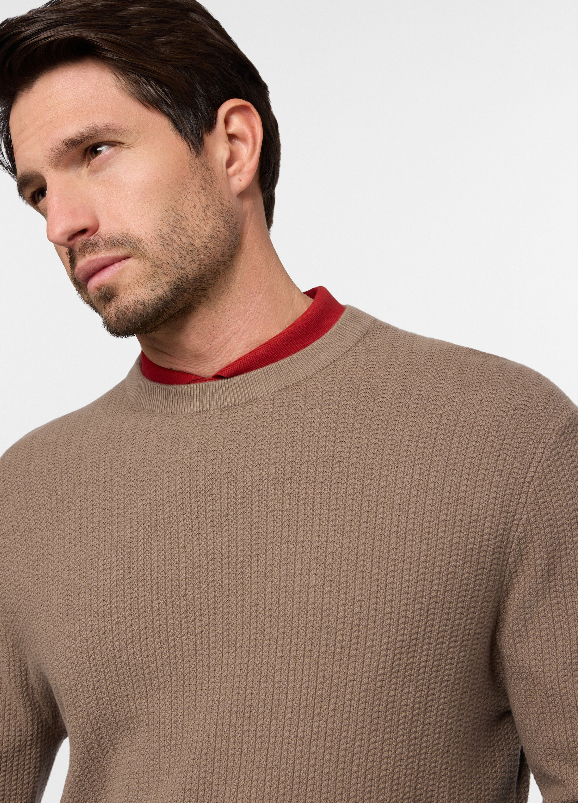 Maglione girocollo in cotone uomo_2