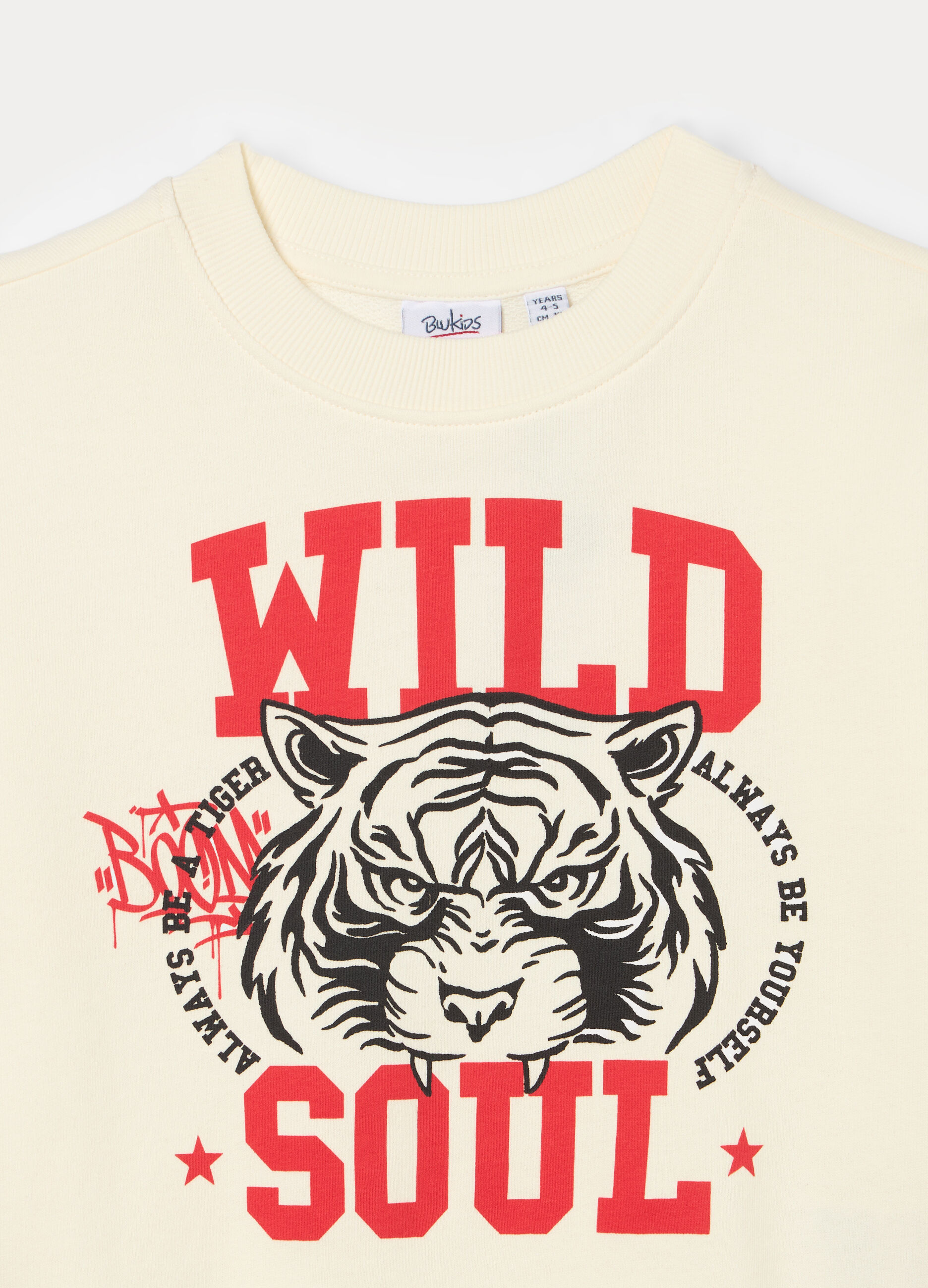 Felpa girocollo in french terry di puro cotone bambino_2