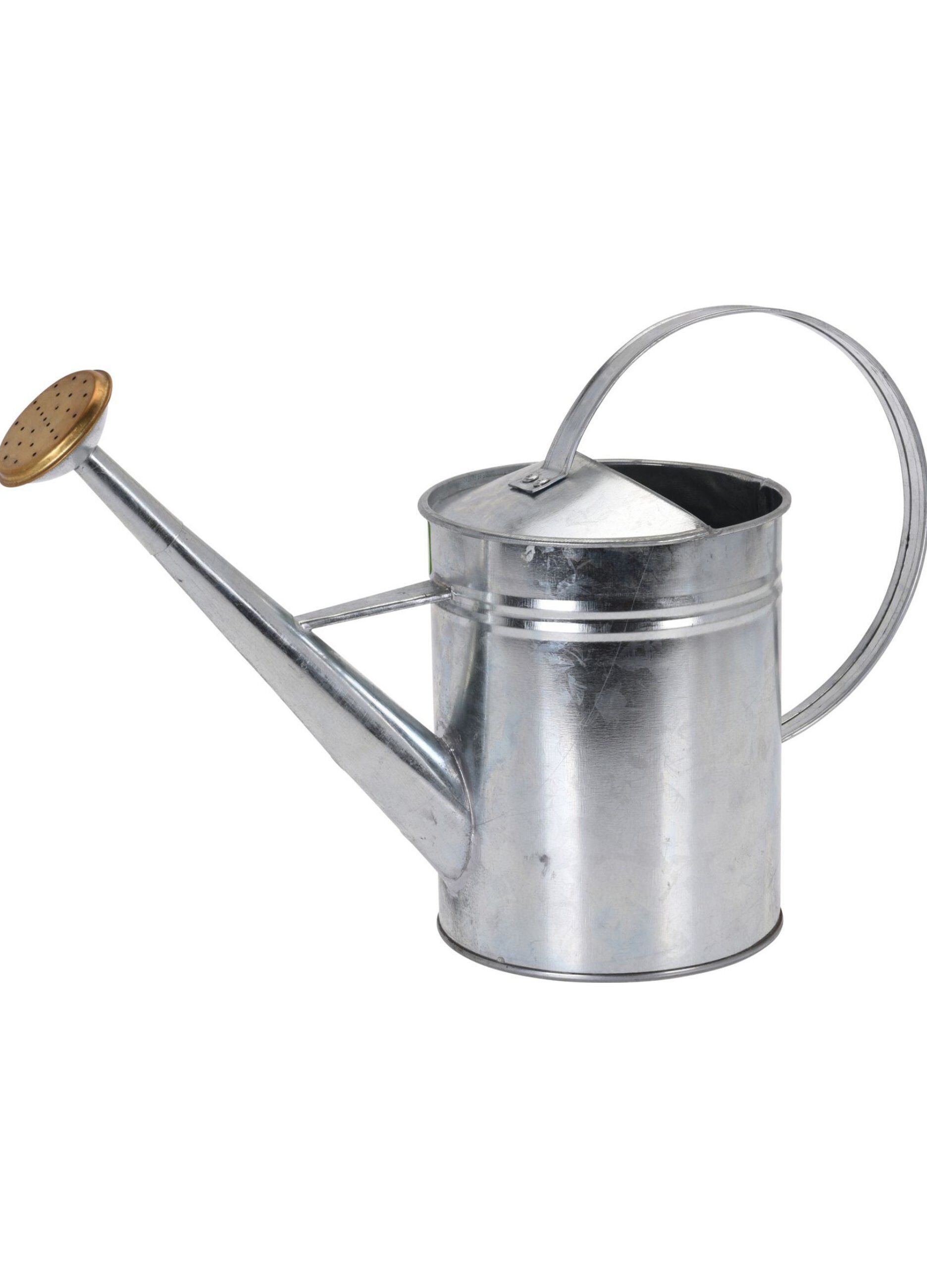 Innaffiatoio zincato con manico_0