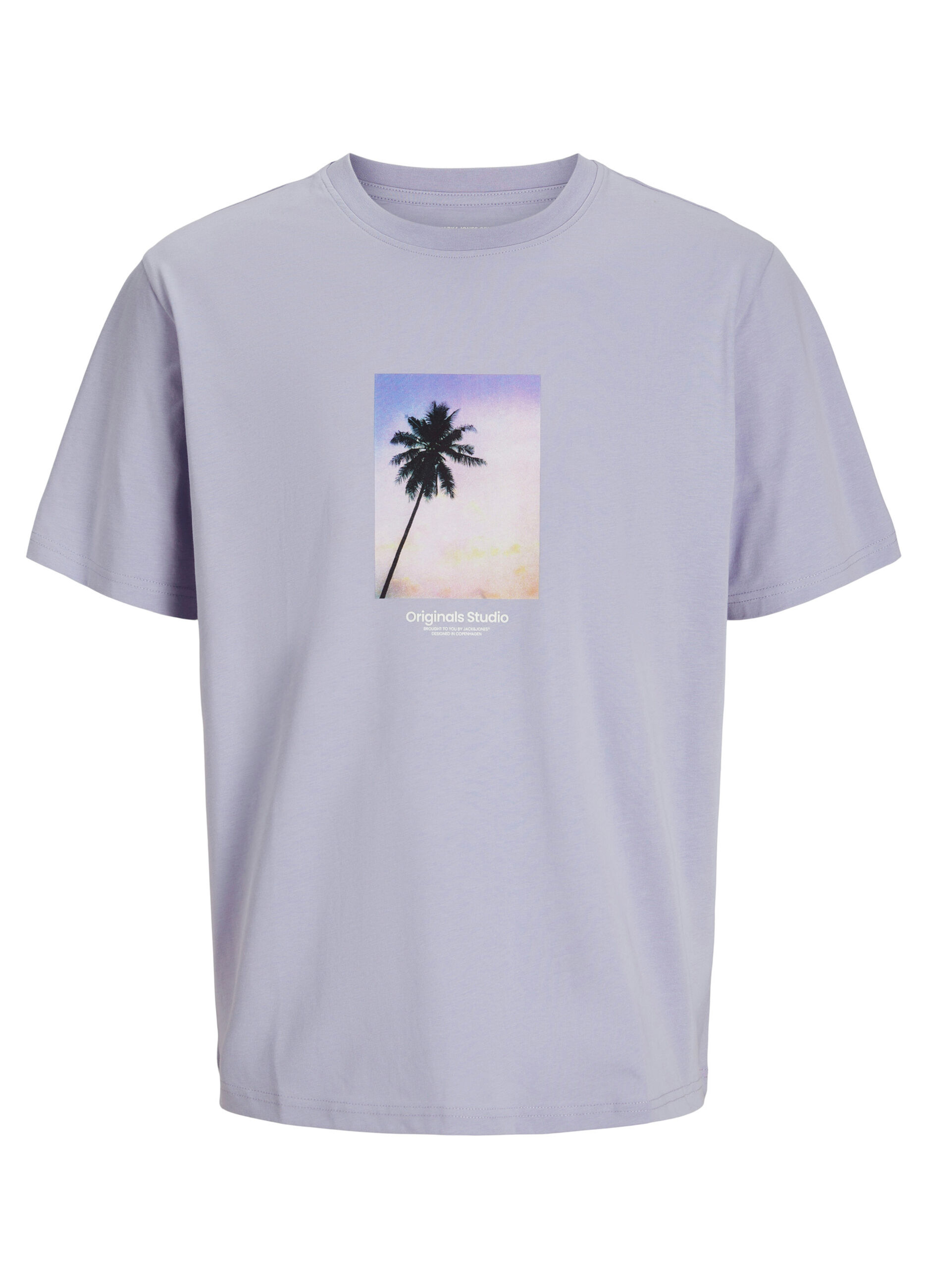 T-shirt regular fit con stampa uomo_6