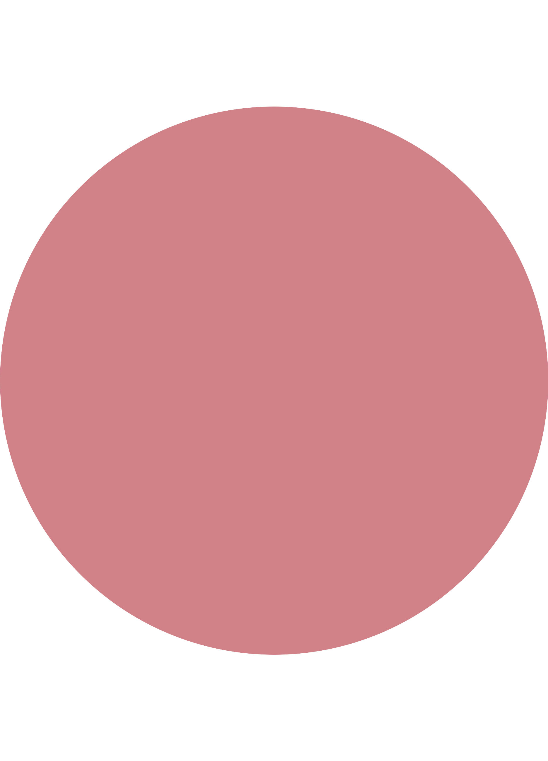 Catrice Velvet Pudding Blurring Blush 010_2