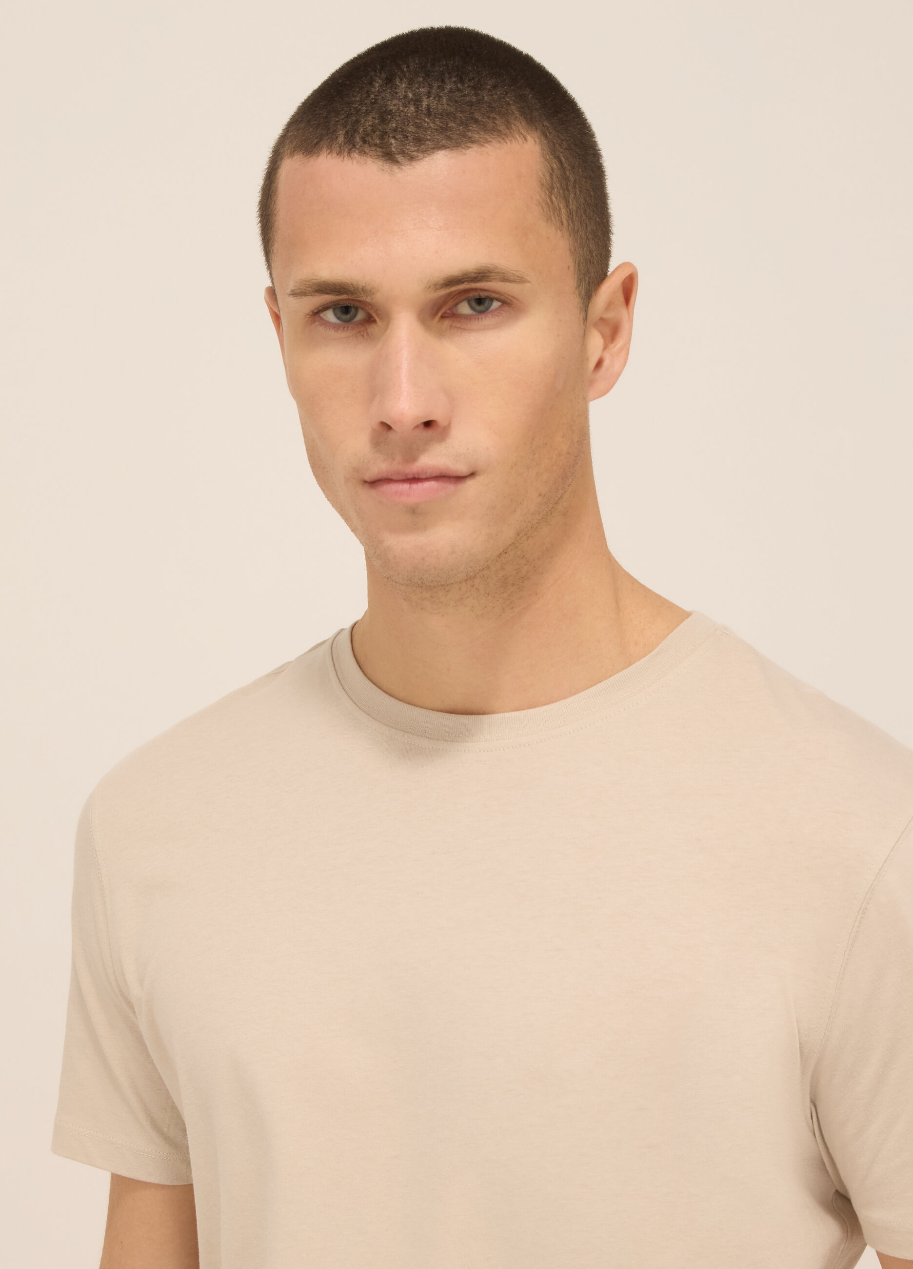 T-shirt girocollo in jersey di puro cotone uomo_2