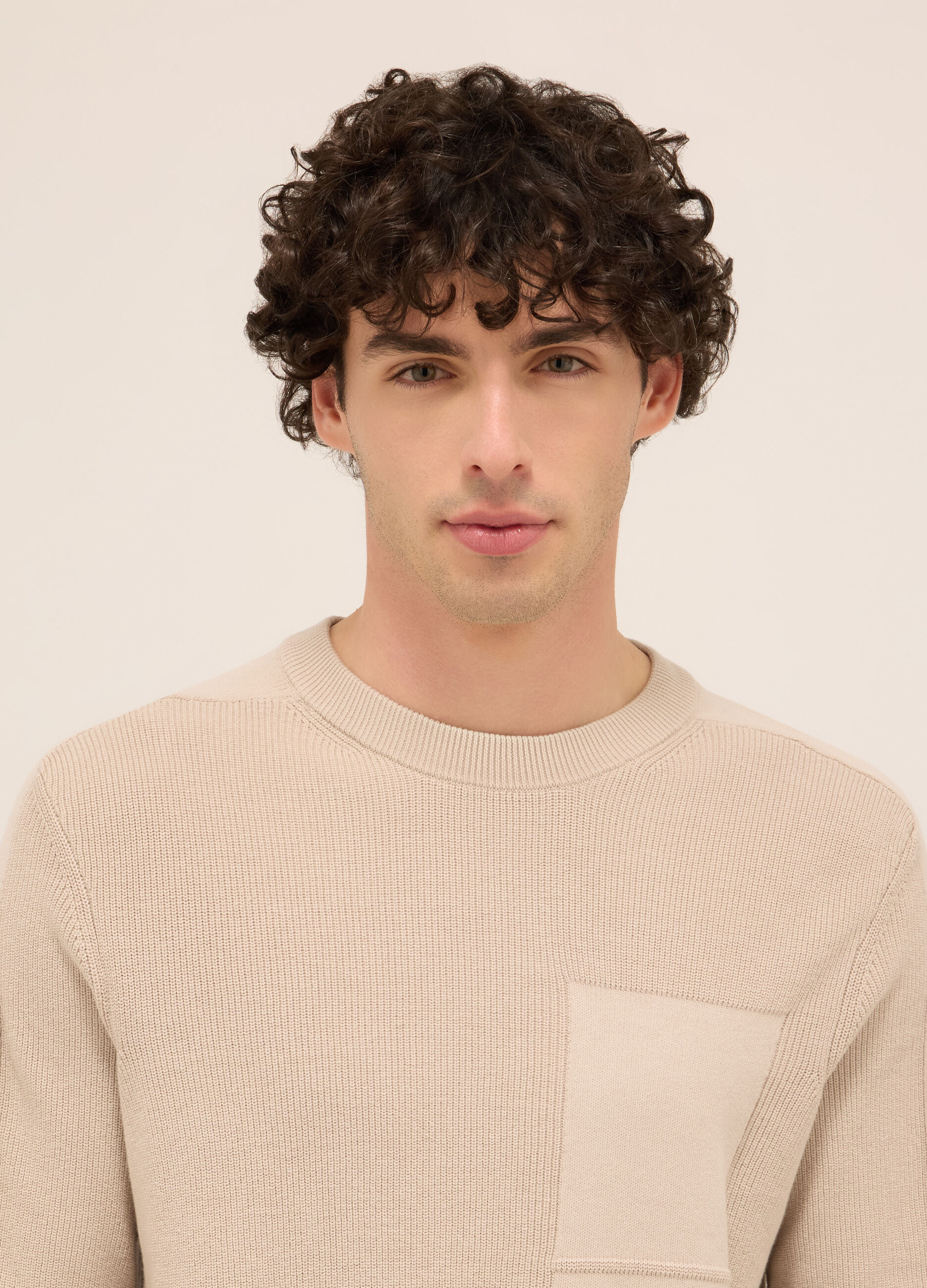 Maglione girocollo in puro cotone uomo_2