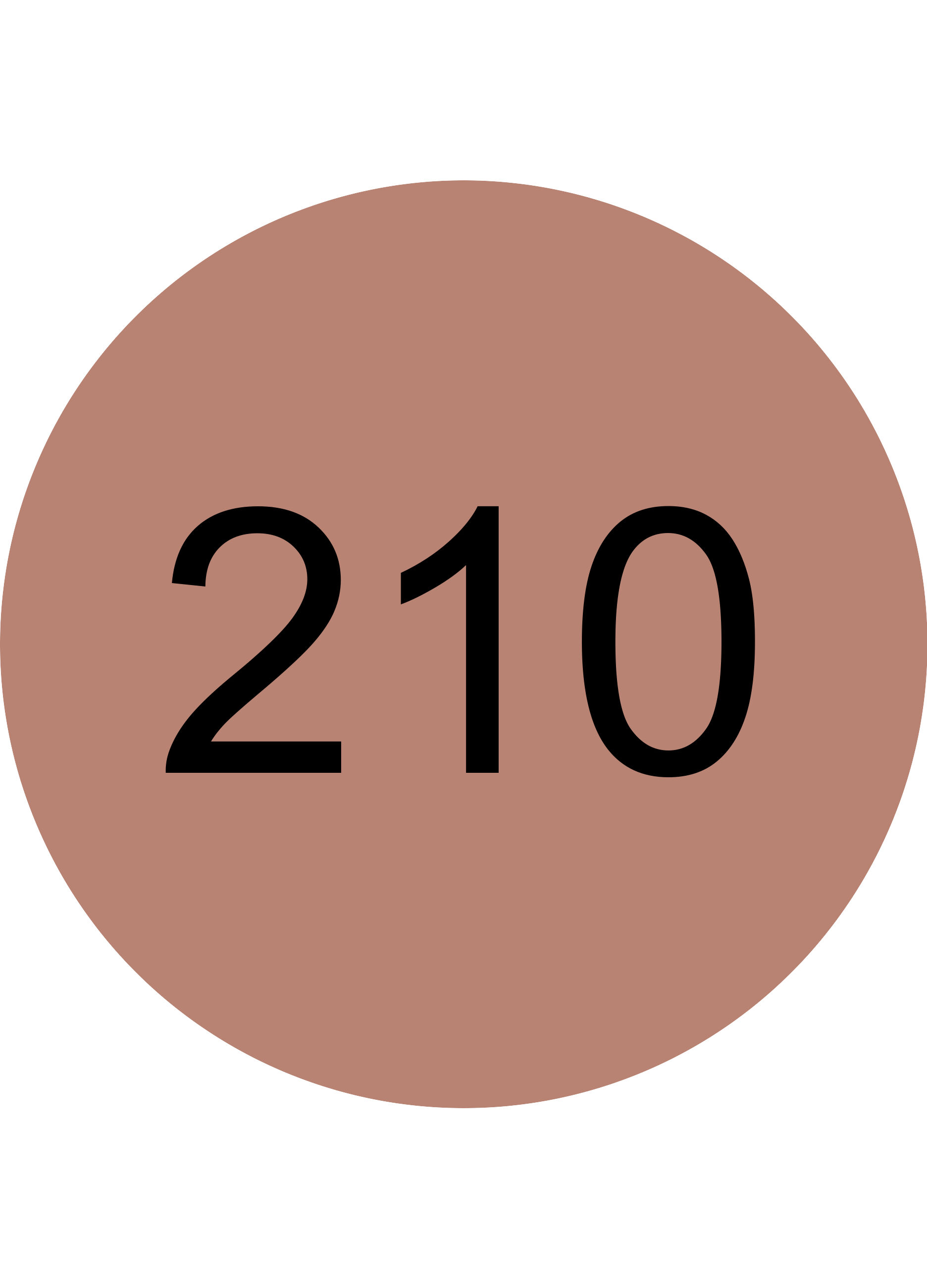 Catrice Plumping  Matita Labbra 210_3