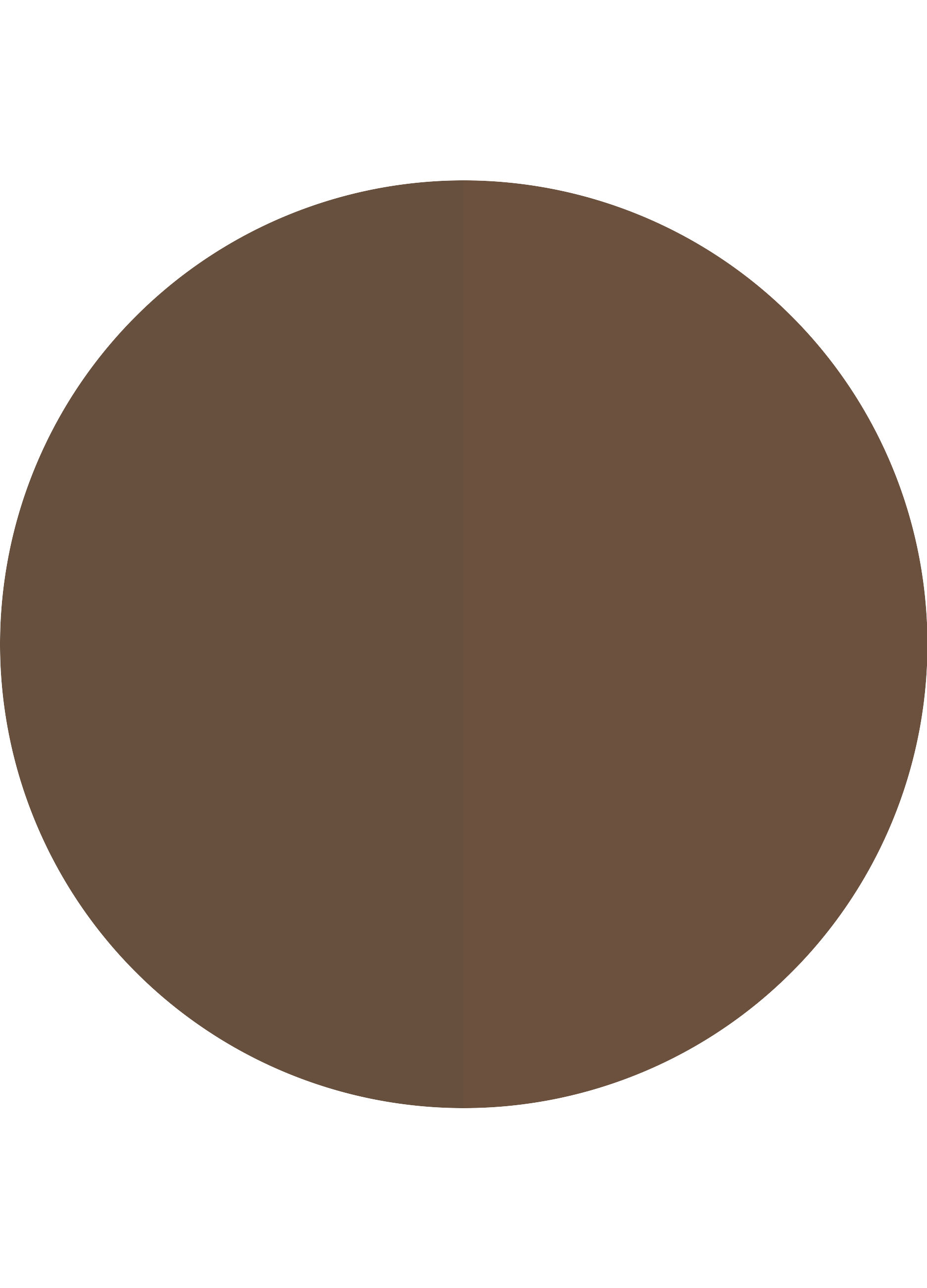 Essence BROW POWDER set duo sopracciglia  03_2