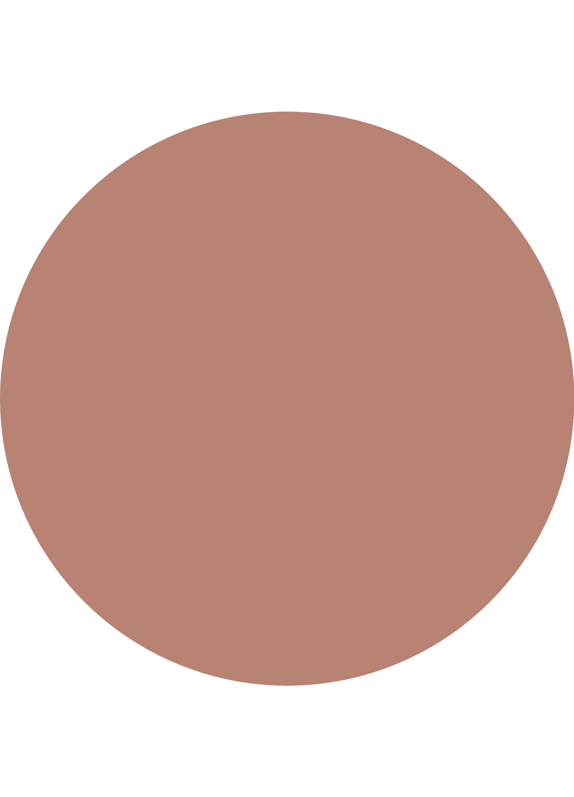 Catrice Plumping  Matita Labbra 210_2