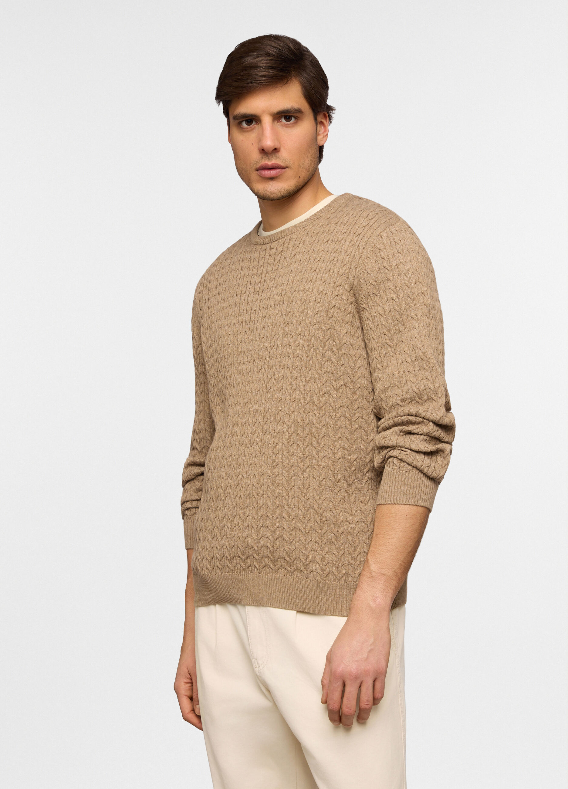 Maglione girocollo in maglia a treccia uomo_0
