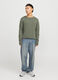 Maglione girocollo in cotone uomo_0