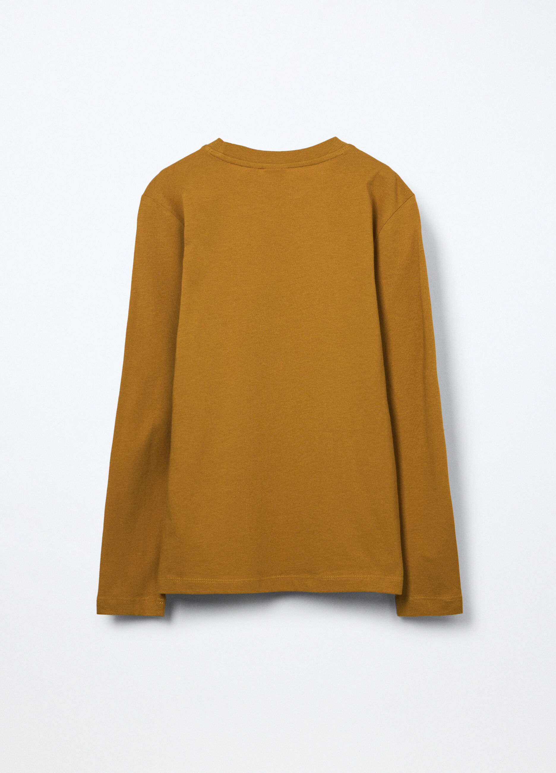 T-shirt a maniche lunghe in puro cotone jersey ragazzo_1